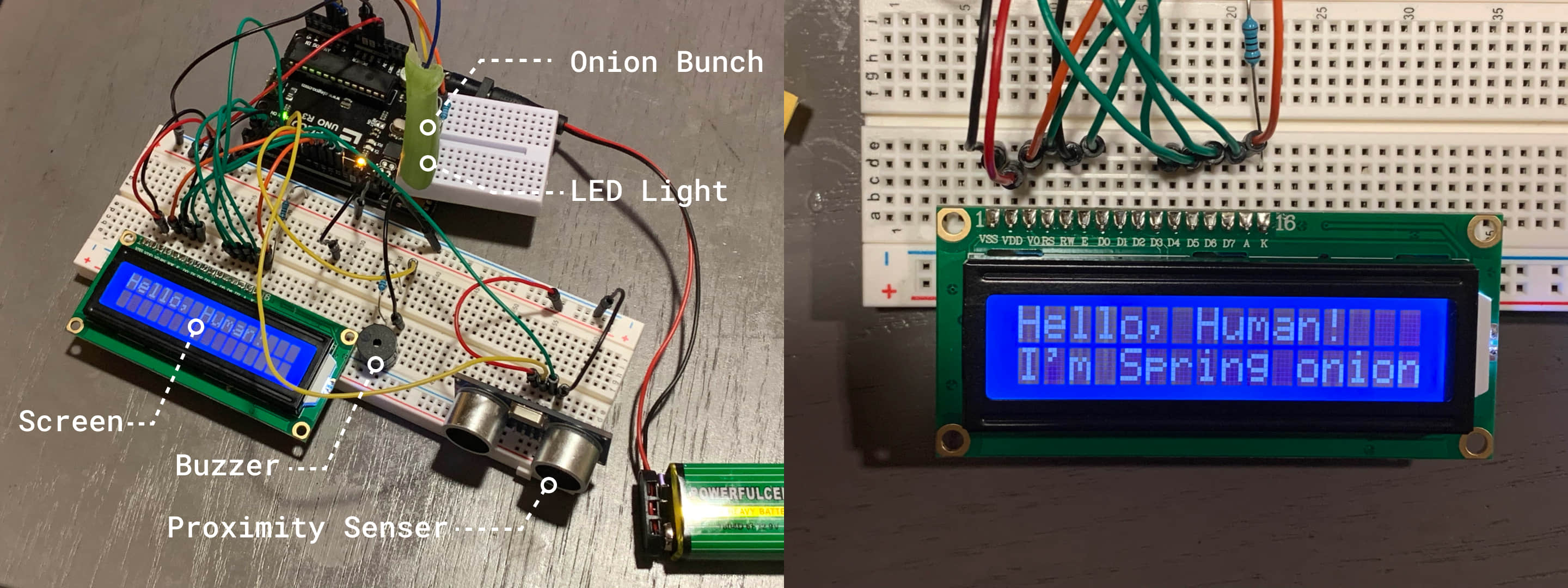 Initial Prototype